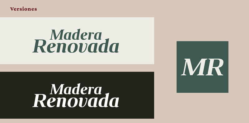 versiones del logo